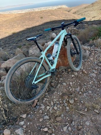 Used Orbea ALMA M20 2024 2024 MTB