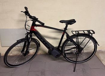 BULLS Lacuba Evo 255 2019 Urban & Touring de segunda mano