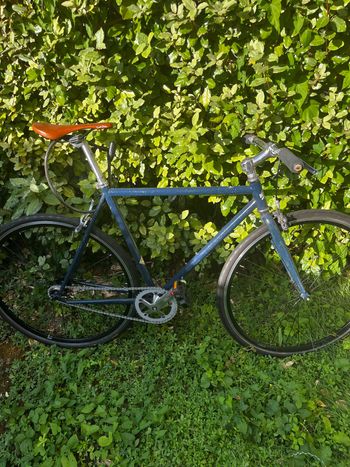 Used Autre Custom Urban & Touring