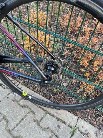 Liv Langma Advanced SL 0 2018 2018 Road & Gravel usato, Nero — immagine 13 di 20
