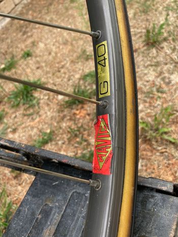 Käytetty Cilo Swiss Aelle 1986 Road & Gravel — kuva 20 / 37