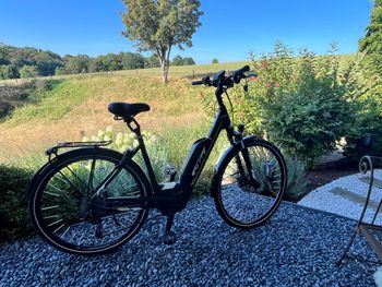 Gebrauchtes KTM 9 CX5 2019 Urban, Schwarz — Bild 2 von 12