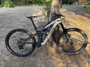 Used Canyon Strive CFR LTD 2023 2023 MTB