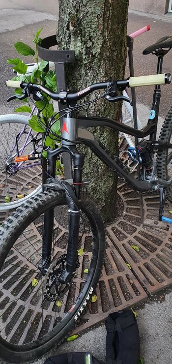 Vitus Escarpe 29 VR 2019 2019 Mountainbike usato, Grigio chiaro — immagine 3 di 4