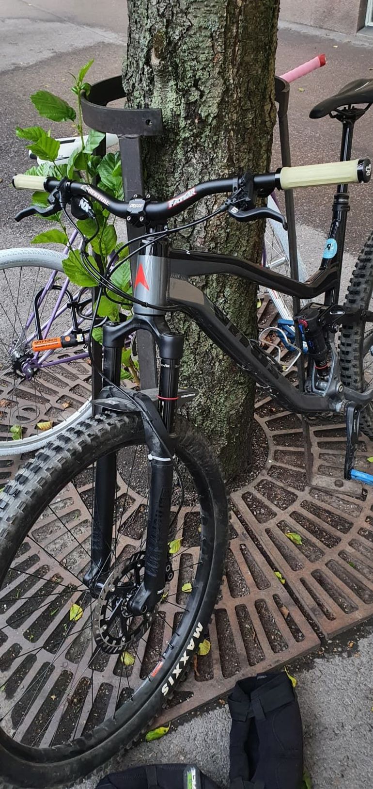 Vitus Escarpe 29 VR 2019 2019 Mountainbike usato, Grigio chiaro — immagine 3 di 4