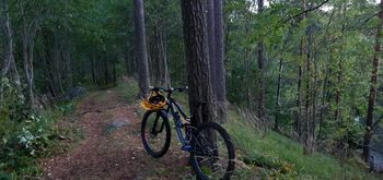 Vitus Escarpe 29 VR 2019 2019 Mountainbike usato, Grigio chiaro — immagine 2 di 4