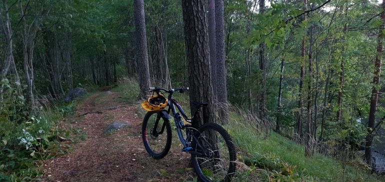 Vitus Escarpe 29 VR 2019 2019 Mountainbike usato, Grigio chiaro — immagine 2 di 4