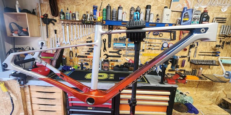 Used Lee Cougan Custom Frameset 2026 MTB