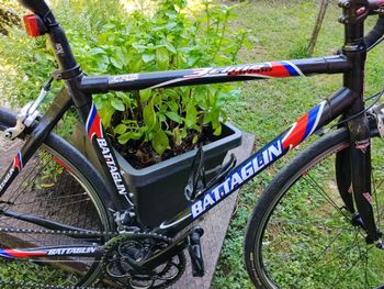 Käytetty Battaglin Custom Other Campagnolo 2014 Road & Gravel — kuva 13 / 15