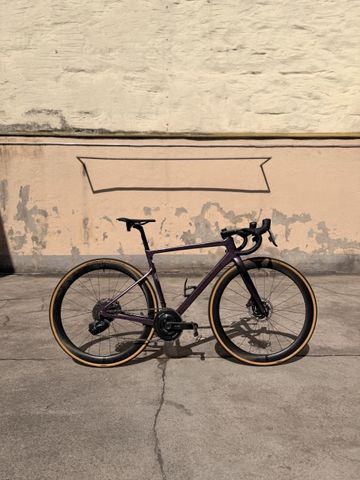 Used Cannondale SuperSix EVO HM Disc – Rainbow Trout 2021 Road & Gravel