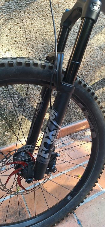 Used Mondraker FOXY 2023 2023 Mountainbike, Light Gray — image 24 of 24