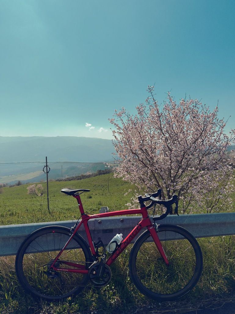 Used Colnago V2-R 2020 Road & Gravel, Red — image 3 of 3