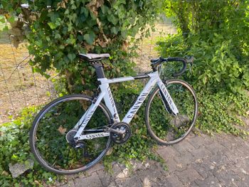 Gebrauchtes Canyon Speedmax Al 2016 Road & Gravel