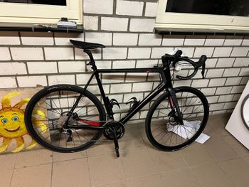 Used Argon 18 Gallium Pro Disc 15th Anniversary Shimano Ultegra Di2 2019 Frameset 2019 Road & Gravel