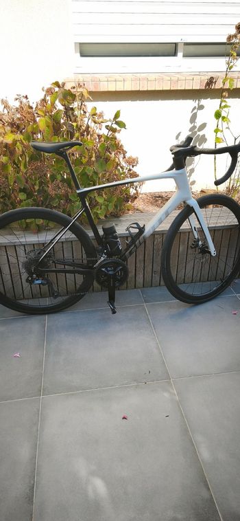 Brugt Giant Defy Advanced Pro 1 2024 2024 Road & Gravel — billede 2 af 12