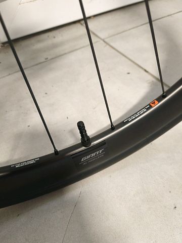 Gebrauchtes Giant Defy Advanced Pro 1 2024 2024 Road & Gravel, Weiß — Bild 17 von 19