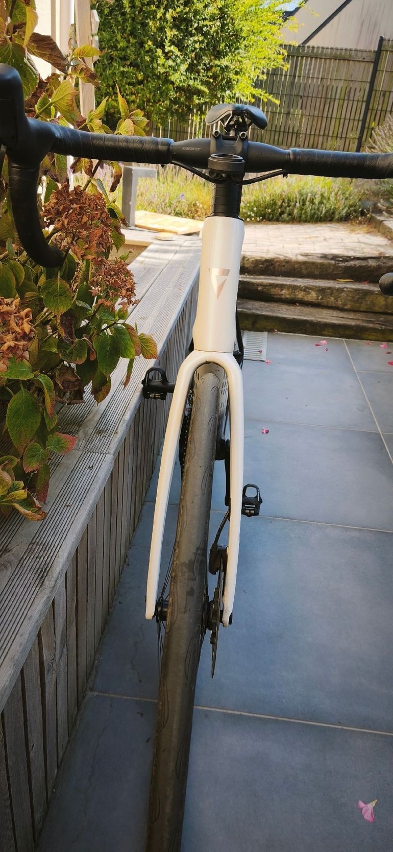 Brugt Giant Defy Advanced Pro 1 2024 2024 Road & Gravel — billede 10 af 12