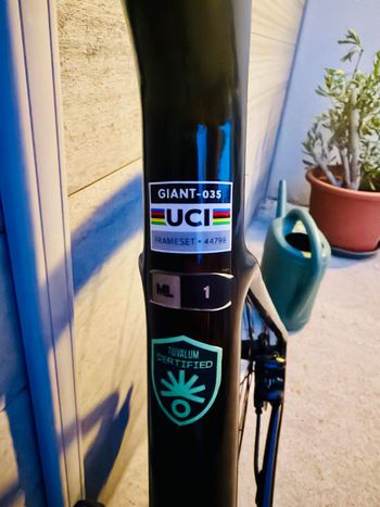 Giant Defy Advanced 1 2024 2024 Road & Gravel d'occasion — image 5 sur 5