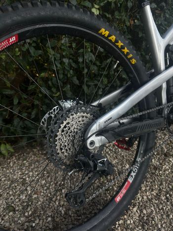 Propain Tyee AL 29 Start 2022 2022 Mountainbike usato, Grigio chiaro — immagine 5 di 7