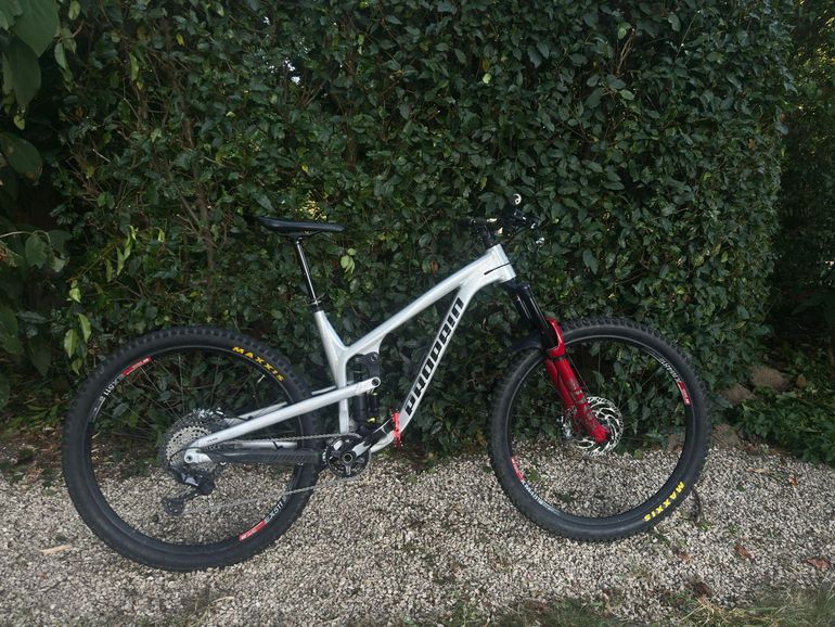 Propain Tyee AL 29 Start 2022 2022 Mountainbike usato, Grigio chiaro — immagine 7 di 7