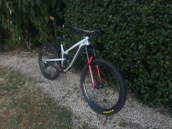 Propain Tyee AL 29 Start 2022 2022 Mountainbike usato, Grigio chiaro — immagine 3 di 7