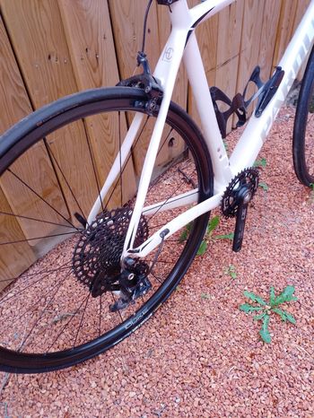 Pardus Custom Other 2018 Road & Gravel usato, Bianco — immagine 3 di 4