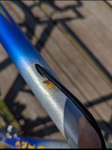 Used Olmo Custom Other Campagnolo 1990 Road & Gravel, Blue — image 6 of 9