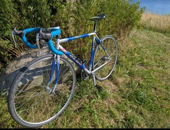 Używany Olmo Custom Other Campagnolo 1990 Road & Gravel — zdjęcie 2 z 9