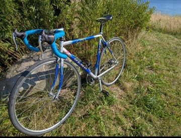 Used Olmo Custom Other Campagnolo 1990 Road & Gravel, Blue — image 2 of 9