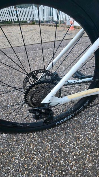 BULLS Aminga Eva 2 2020 2020 Mountainbike de segunda mano, Blanco — imagen 8 de 14