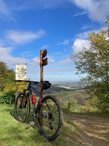Brugt Orbea ALMA H30 2021 2021 Mountainbike — billede 7 af 10