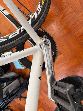 Używany Polo & Bike Custom Other 2024 Road & Gravel — zdjęcie 10 z 10