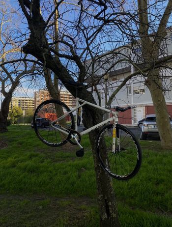 Used Fixed gear Custom Other 2024 Road & Gravel