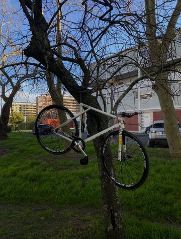 Gebrauchtes Fixed gear Custom Other 2024 Road & Gravel