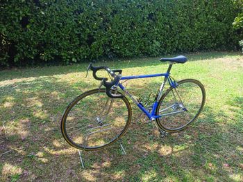 Gios Super Record 2017 Road & Gravel usato, Blu — immagine 14 di 14