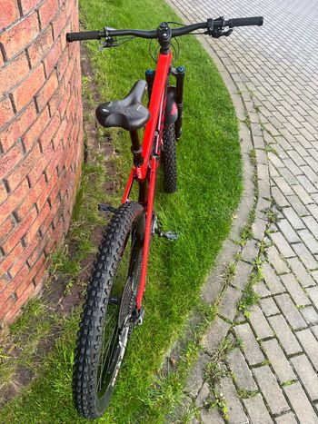 Używany Canyon Strive CF 7.0 2019 2019 Mountainbike — zdjęcie 3 z 4