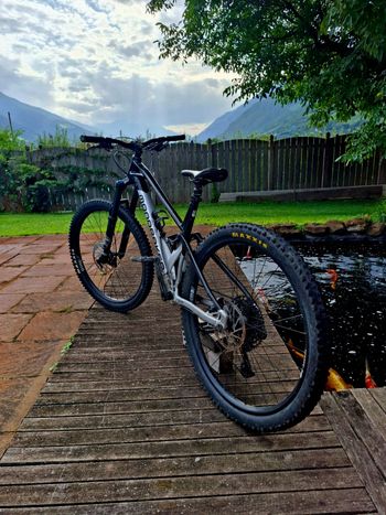 Used Mondraker FOXY 2022 2022 Mountainbike, Black, 29 — image 3 of 7
