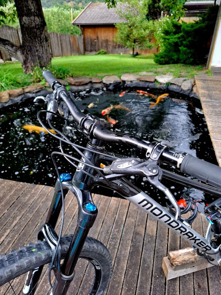 Used Mondraker FOXY 2022 2022 Mountainbike, Black, 29 — image 4 of 7