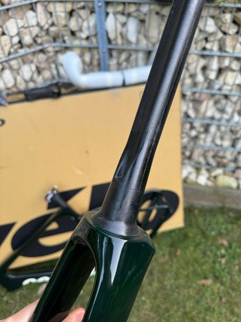 Cervélo Caledonia-5 Force AXS 2026 Frameset 2026 Road & Gravel usato, Verde — immagine 6 di 11
