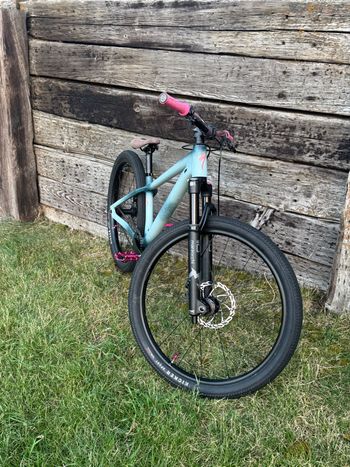 Used Specialized Custom Other 2024 Mountainbike, Blue — image 2 of 3