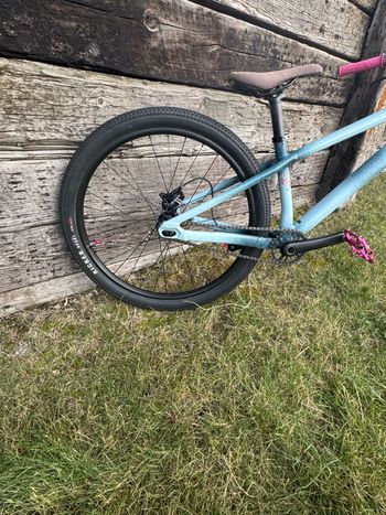 Used Specialized Custom Other 2024 Mountainbike, Blue — image 3 of 3
