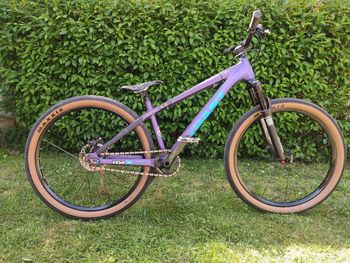 Gebrauchtes Giant Custom Other 2011 MTB