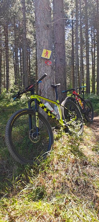 Used Trek Procaliber 9.6 2023 2023 Mountainbike, Orange, 29 — image 1 of 8
