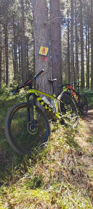 Used Trek Procaliber 9.6 2023 2023 MTB