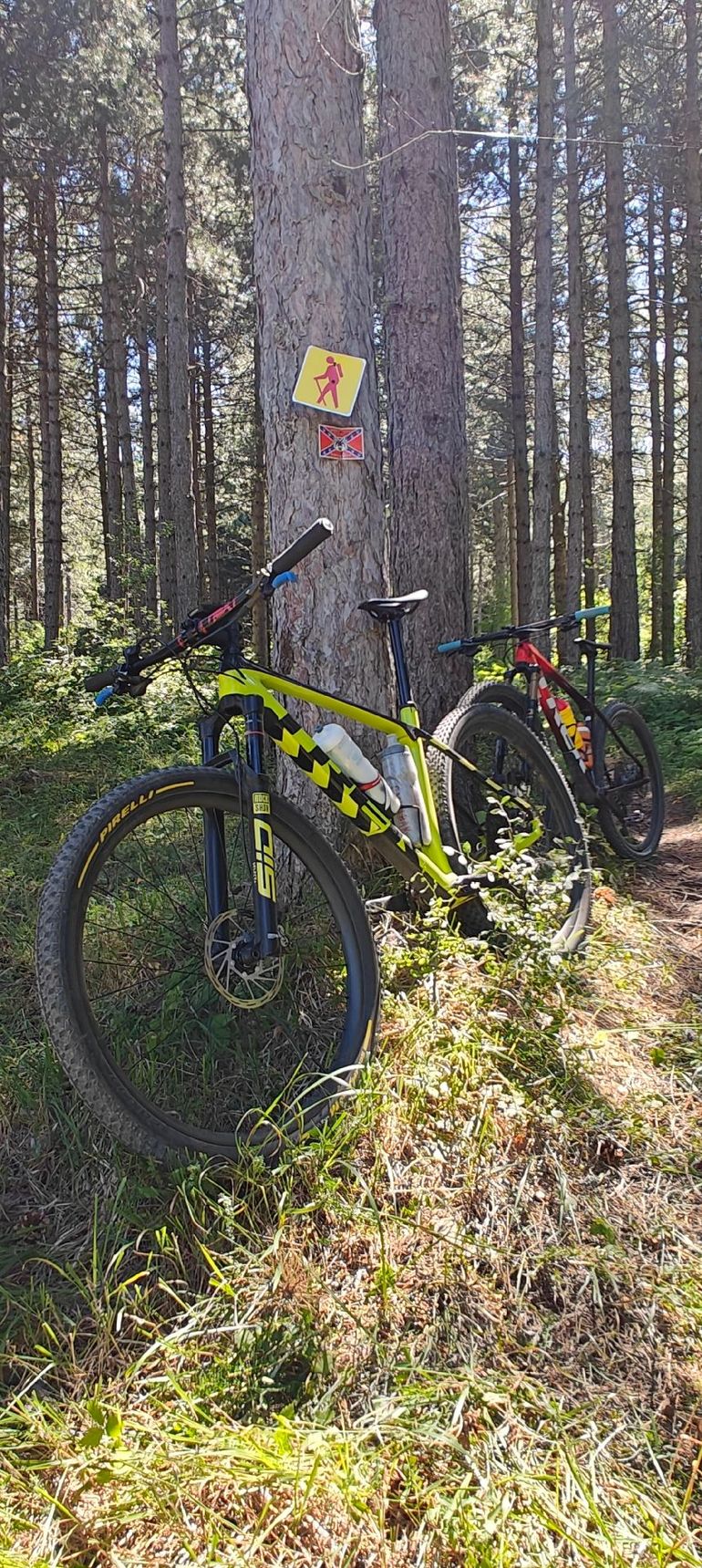 Used Trek Procaliber 9.6 2023 2023 Mountainbike, Orange, 29 — image 1 of 8