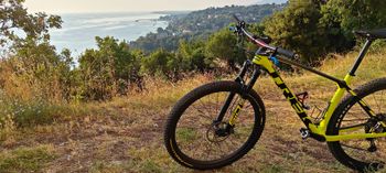 Used Trek Procaliber 9.6 2023 2023 Mountainbike, Orange, 29 — image 4 of 8