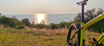Used Trek Procaliber 9.6 2023 2023 Mountainbike, Orange, 29 — image 8 of 8