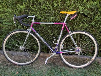 Used Colnago Decor 1996 1996 Road & Gravel