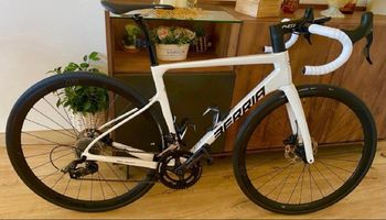 Tweedehands Berria BELADOR Campagnolo Chorus 2025 Road & Gravel