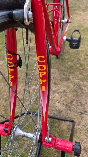 Käytetty Fausto Coppi Custom Campagnolo Veloce 2002 Road & Gravel — kuva 11 / 20